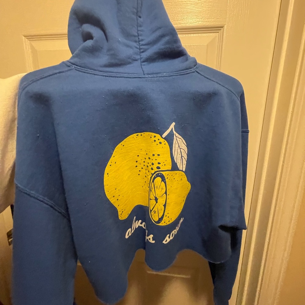 COPY - zumiez cropped hoodie